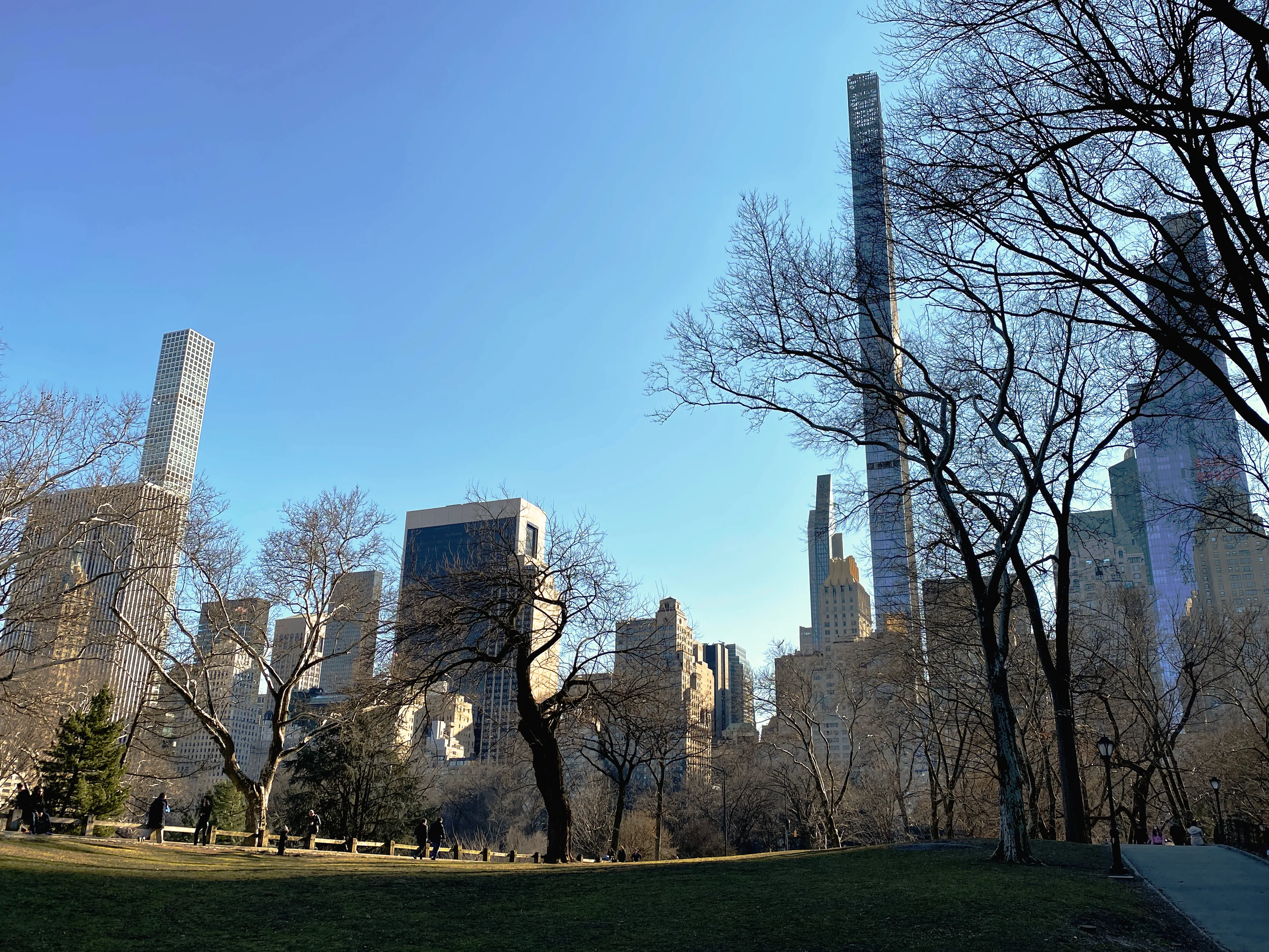 中央公園